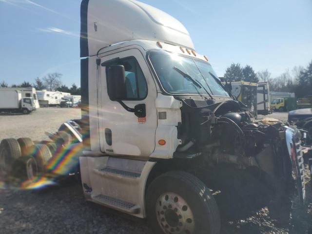 3AKJGBDV4FSGH4477 - 2015 FREIGHTLINER CASCADIA 1 WHITE photo 1