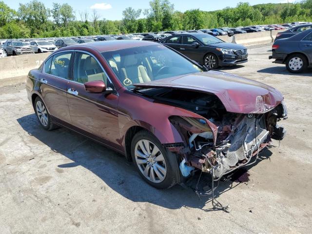 1HGCP3F83CA019293 - 2012 HONDA ACCORD EXL MAROON photo 4