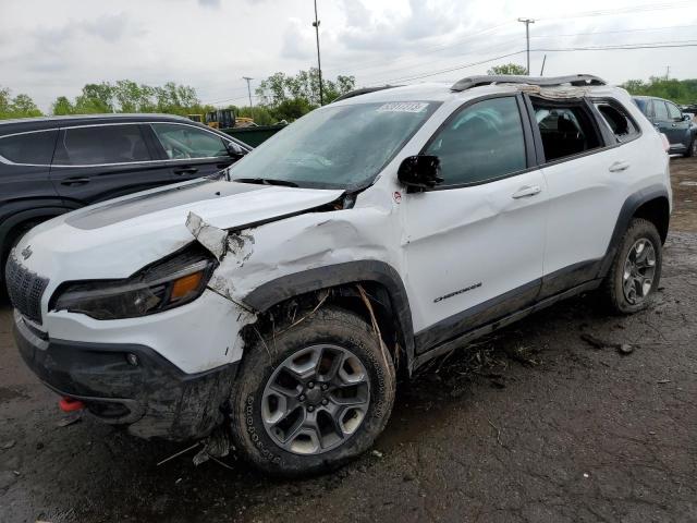 1C4PJMBXXKD421815 - 2019 JEEP CHEROKEE TRAILHAWK WHITE photo 1
