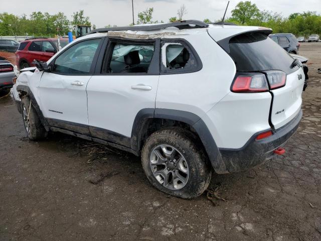 1C4PJMBXXKD421815 - 2019 JEEP CHEROKEE TRAILHAWK WHITE photo 2