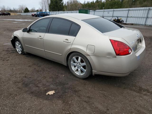 1N4BA41E64C924122 - 2004 NISSAN MAXIMA SE BEIGE photo 2