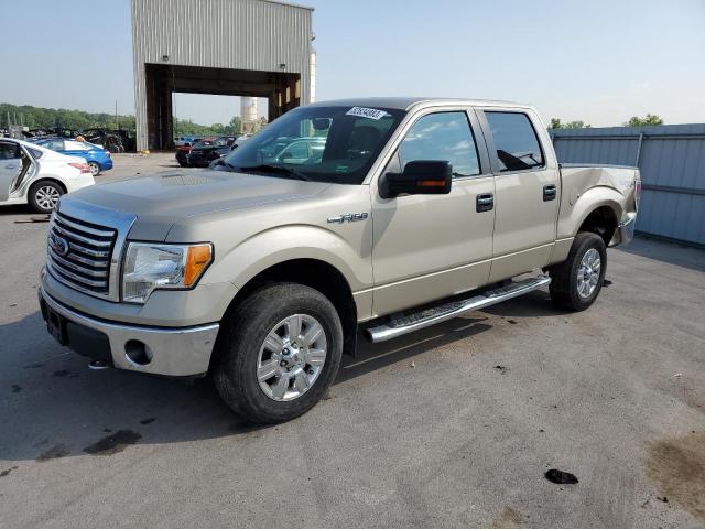 1FTFW1EV7AFC97043 - 2010 FORD F-150 SUPERCREW CREAM photo 1