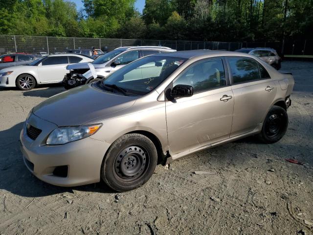 1NXBU40EX9Z005031 - 2009 TOYOTA COROLLA BASE GOLD photo 1