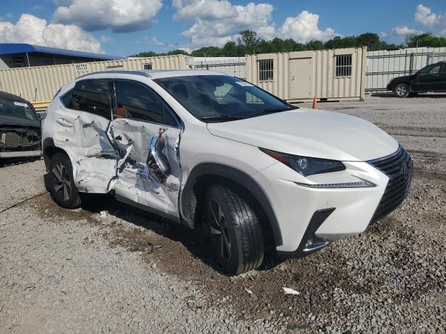 JTJYARBZ8K2120519 - 2019 LEXUS NX 300 BASE Ağ foto 4