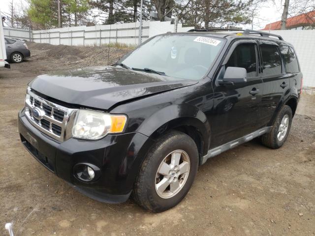 2010 FORD ESCAPE XLT, 