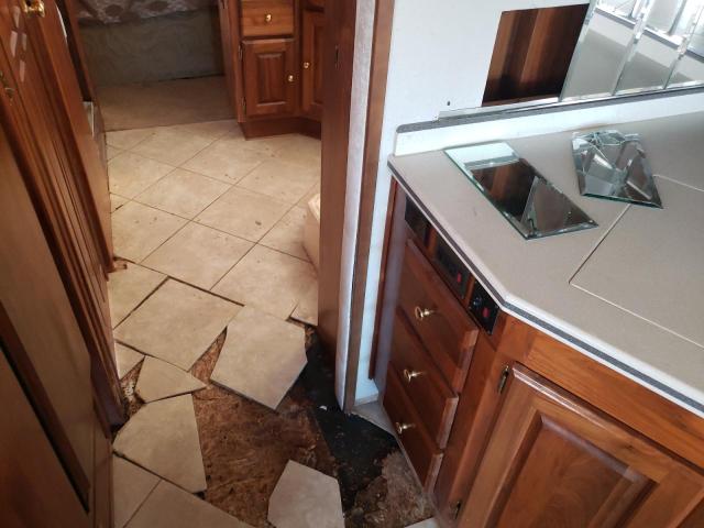 1RF12061322015140 - 2002 ROADMASTER RAIL DYANASTER BROWN photo 9