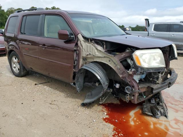 5FNYF48549B000431 - 2009 HONDA PILOT EXL BURGUNDY photo 4