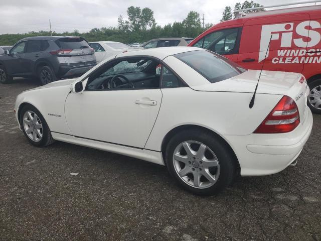 WDBKK49F33F284550 - 2003 MERCEDES-BENZ SLK 230 KOMPRESSOR WHITE photo 2