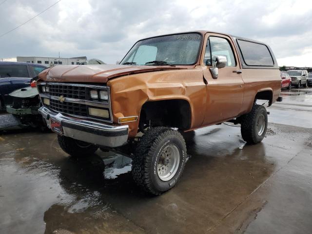 1GNEV18K3KF194985 - 1989 CHEVROLET BLAZER V10 ORANGE photo 1