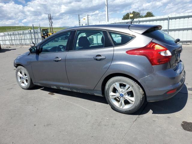 1FADP3K20DL355516 - 2013 FORD FOCUS SE GRAY photo 2