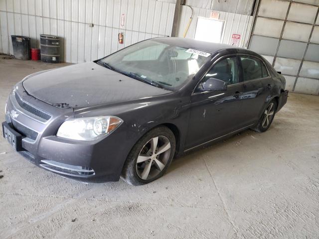 1G1ZC5E18BF167695 - 2011 CHEVROLET MALIBU 1LT GRAY photo 1