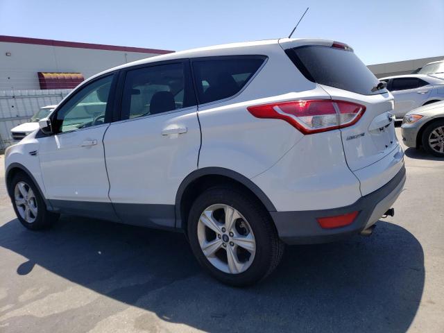 1FMCU0GX2EUD18718 - 2014 FORD ESCAPE SE WHITE photo 2