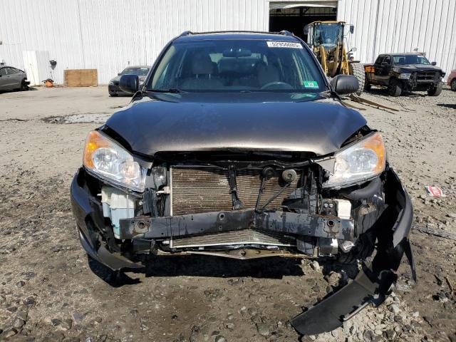 2T3BF4DVXCW256652 - 2012 TOYOTA RAV4 BEIGE photo 5