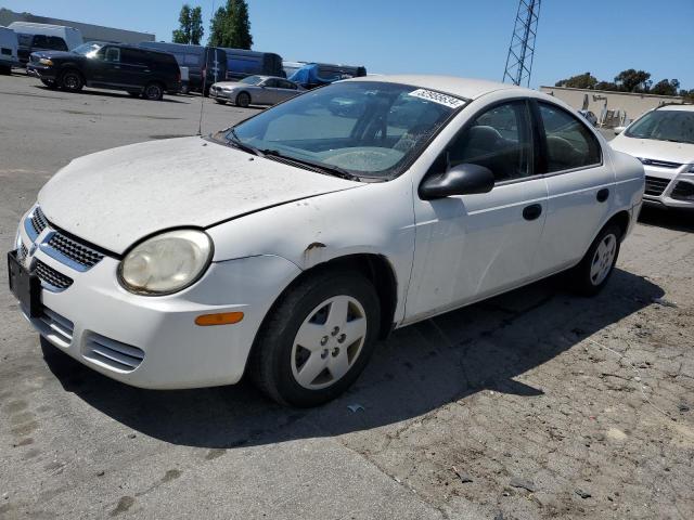 1B3ES26C64D634961 - 2004 DODGE NEON BASE WHITE photo 1