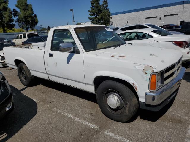 1B7GN14X6JS775843 - 1988 DODGE DAKOTA WHITE photo 4