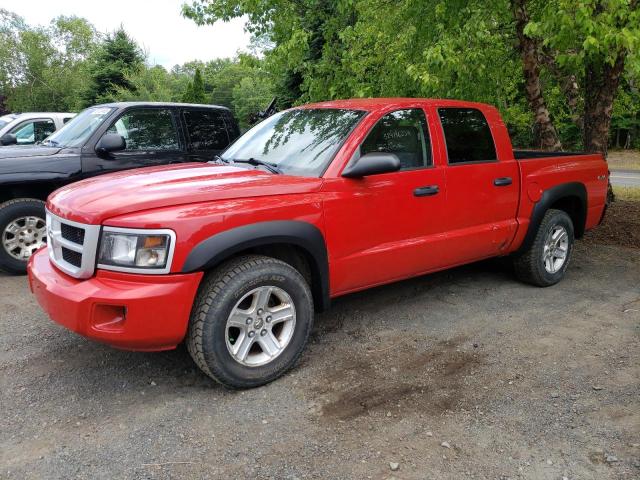 1D7RW3GK6BS589504 - 2011 DODGE DAKOTA SLT RED photo 1