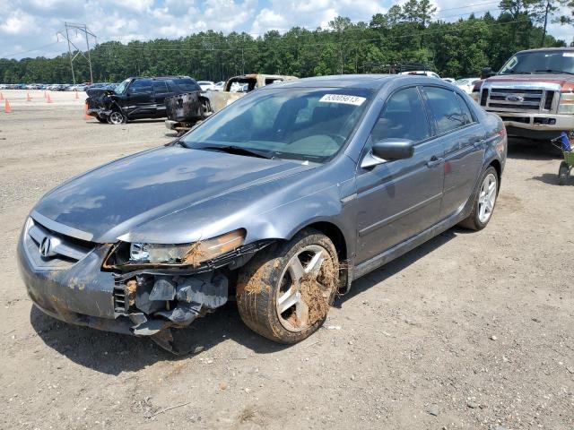 19UUA66246A022792 - 2006 ACURA 3.2TL Boz foto 1