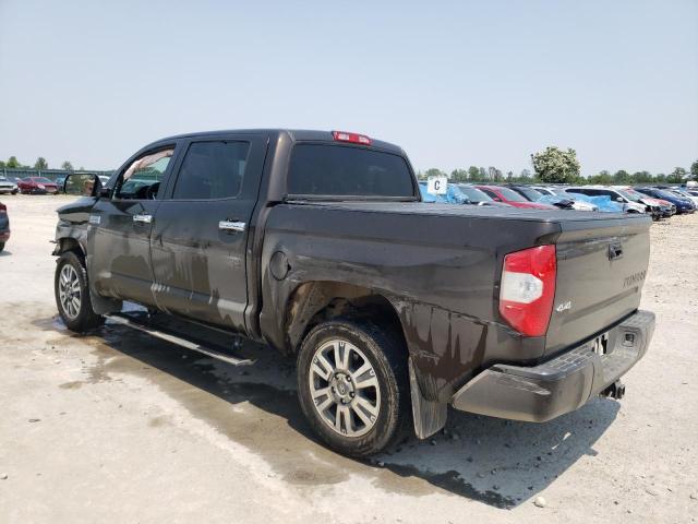 5TFAY5F19KX779564 - 2019 TOYOTA TUNDRA CREWMAX 1794 BROWN photo 2