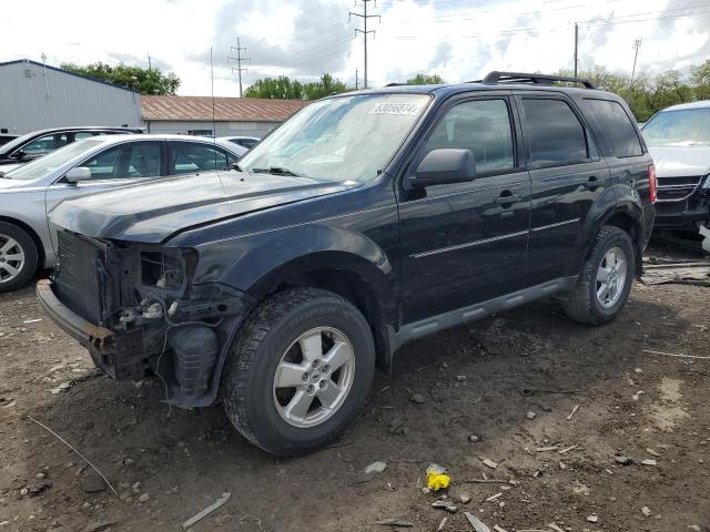 2010 FORD ESCAPE XLT, 