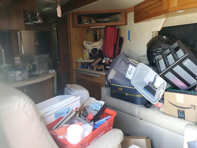 4UZACJDT5GCHW0423 - 2016 FREIGHTLINER CHASSIS XC თაფლისფერი ფოტო 6