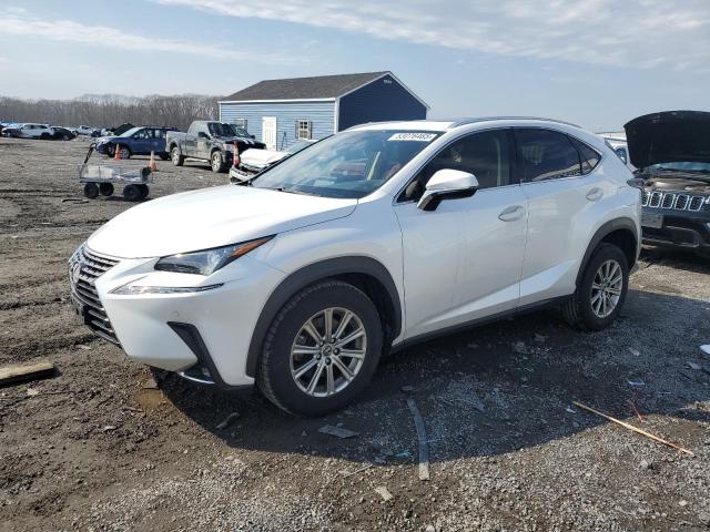 JTJDARDZ8M5028162 - 2021 LEXUS NX 300 BASE WHITE photo 1