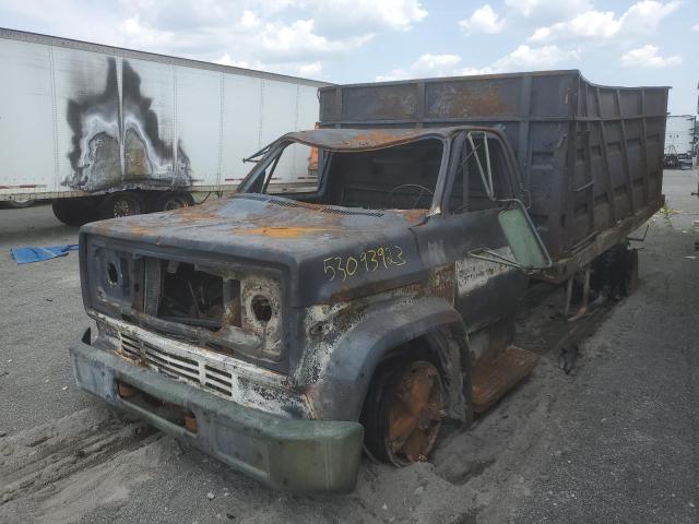 CCE6164107377 - 1976 CHEVROLET C-SERIES BURN photo 2