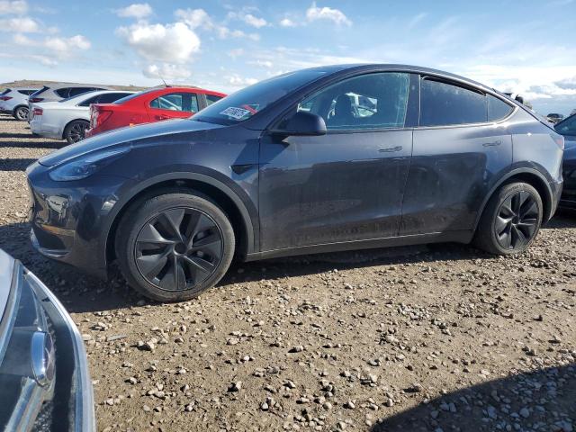 2025 TESLA MODEL Y, null