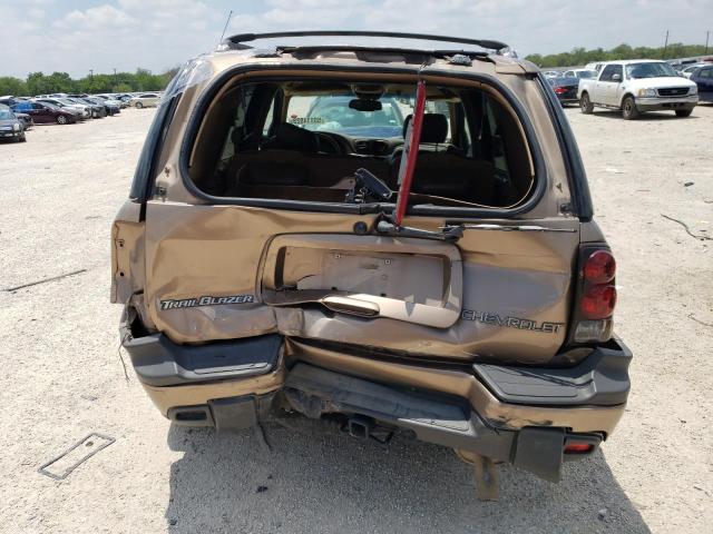 1GNDS13S722350089 - 2002 CHEVROLET TRAILBLAZE BROWN photo 6