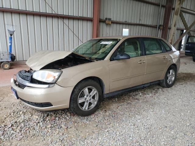 1G1ZT64805F210841 - 2005 CHEVROLET MALIBU MAXX LS TAN photo 1