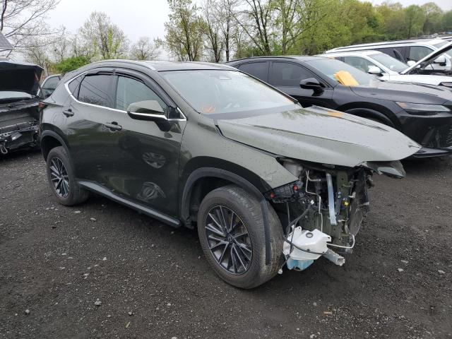 2T2GDCAZ9RC006783 - 2024 LEXUS NX 250 PREMIUM GREEN photo 4