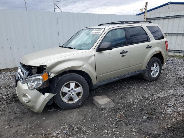2011 FORD ESCAPE XLT, 