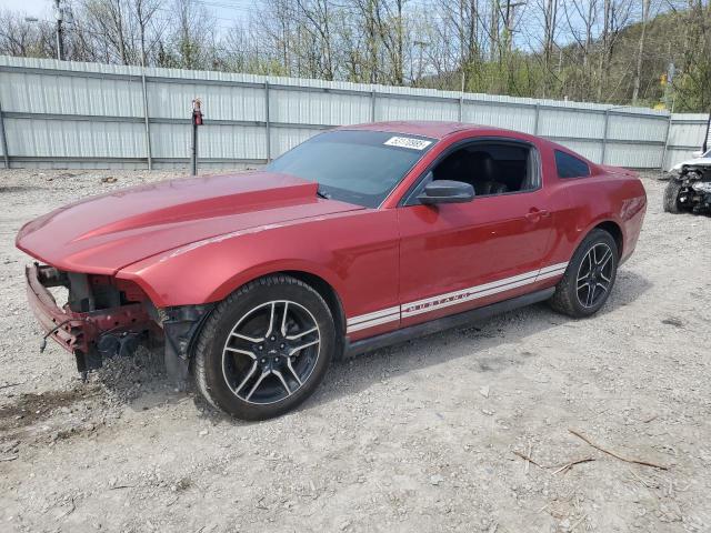 2010 FORD MUSTANG, null