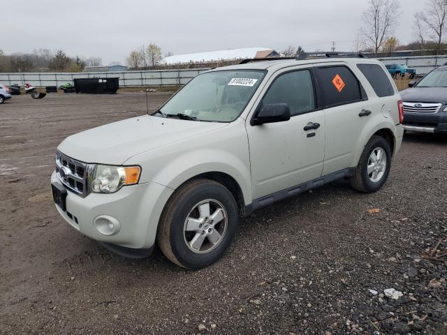 2009 FORD ESCAPE XLT, 