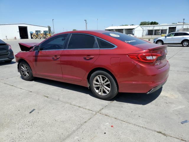 5NPE24AF8FH013231 - 2015 HYUNDAI SONATA SE RED photo 2