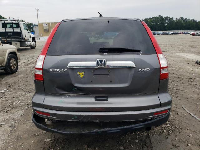 5J6RE4H75AL026749 - 2010 HONDA CR-V EXL GRAY photo 6