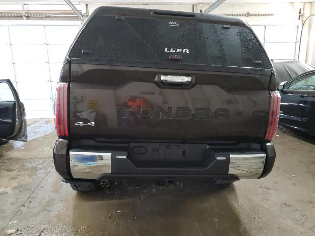 5TFMA5DBXPX115200 - 2023 TOYOTA TUNDRA CREWMAX PLATINUM ყავისფერი ფოტო 6