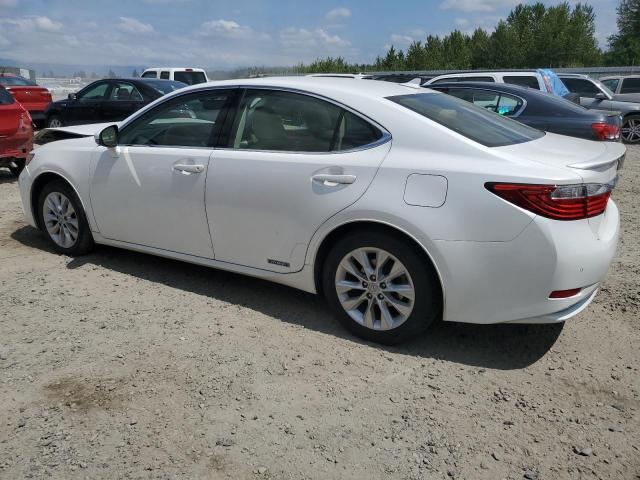 JTHBW1GGXD2038862 - 2013 LEXUS ES 300H WHITE photo 2