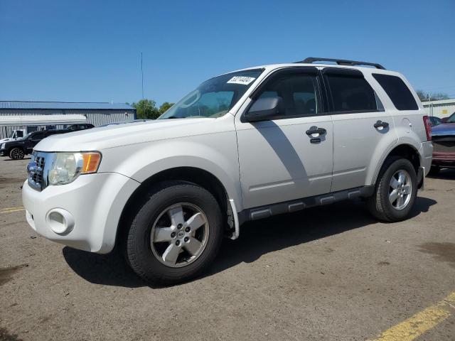 2009 FORD ESCAPE XLT, 