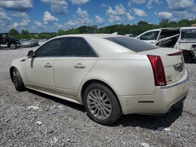1G6DK5EV9A0112216 - 2010 CADILLAC CTS PERFORMANCE COLLECTION CREAM photo 2