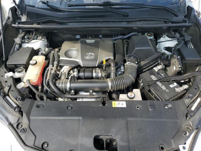 JTJYARBZ8K2127597 - 2019 LEXUS NX 300 BASE Ağ foto 12