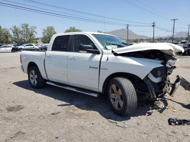 1D3HB13T29S798602 - 2009 DODGE RAM 1500 WHITE photo 4