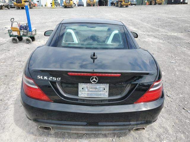 WDDPK4HA6EF088253 - 2014 MERCEDES-BENZ SLK 250 BLACK photo 10