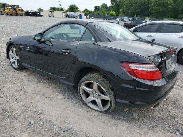 WDDPK4HA6EF088253 - 2014 MERCEDES-BENZ SLK 250 BLACK photo 2