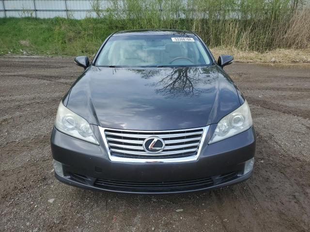 JTHBK1EG4A2348600 - 2010 LEXUS ES 350 CHARCOAL photo 5