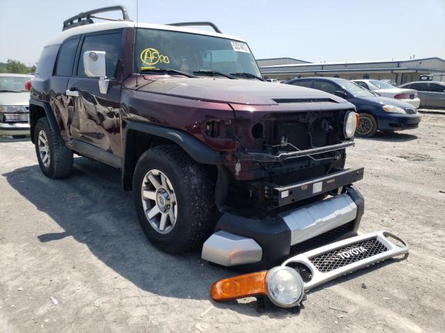 JTEBU11F870052228 - 2007 TOYOTA FJ CRUISER PURPLE photo 1