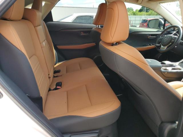 JTJDARBZ2M5028774 - 2021 LEXUS NX 300 BASE თეთრი ფოტო 11