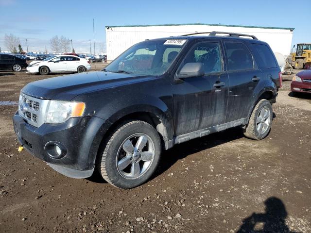 2011 FORD ESCAPE XLT, 