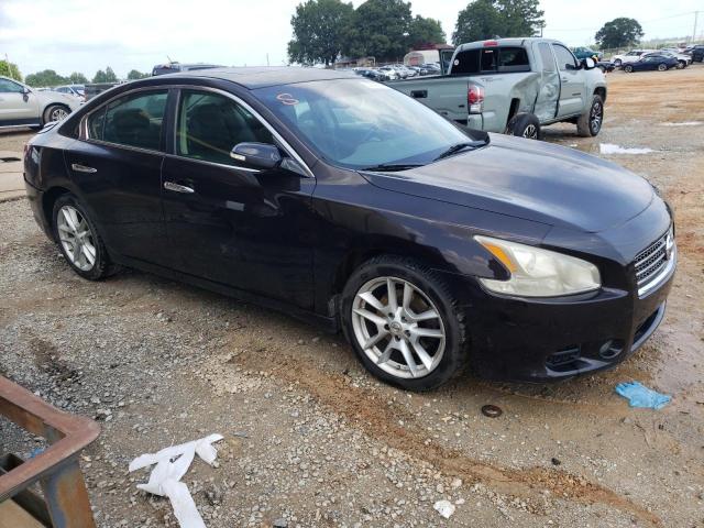 1N4AA5AP5AC849069 - 2010 NISSAN MAXIMA S PURPLE photo 4