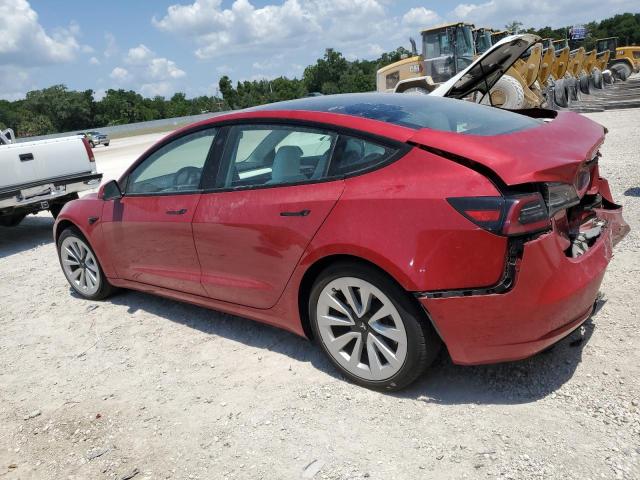 5YJ3E1EA8MF082458 - 2021 TESLA MODEL 3 RED photo 2