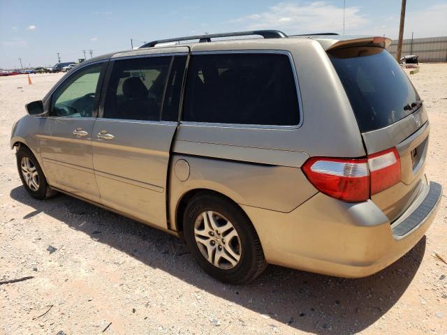 5FNRL38485B000179 - 2005 HONDA ODYSSEY EX GOLD photo 2